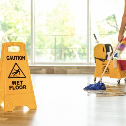SOLD Unique White Glove Cleaning and Property Management Business