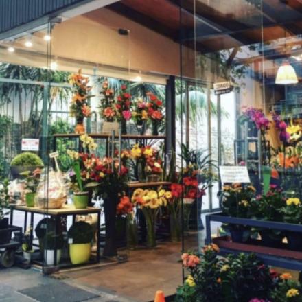 SOLD - Established Flower Shop in the FL Tri-County Area