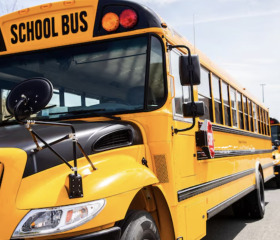 School Bus Route Business in Miami - 42 Buses